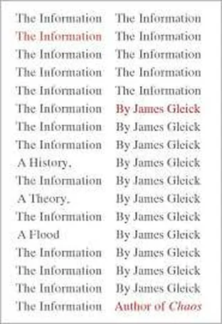 Cover of The Information: A History, a Theory, a Flood by James Gleick